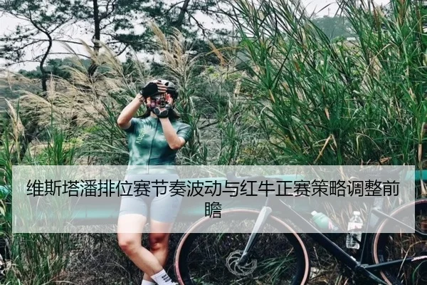 维斯塔潘排位赛节奏波动与红牛正赛策略调整前瞻